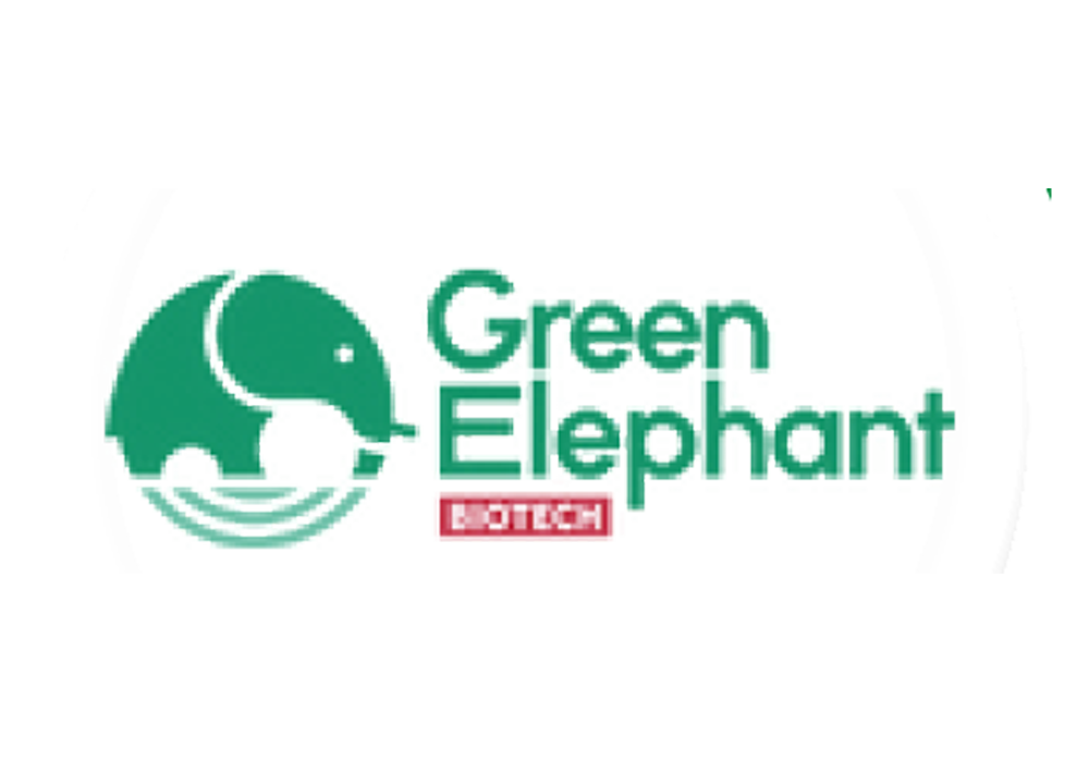 Green Elephant